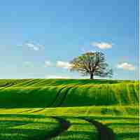 seo案‍例‌模‌板​